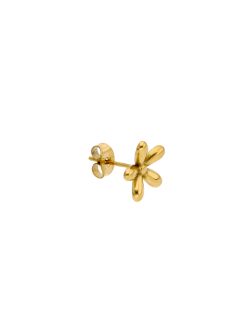 myMo Women Earrings in Gold
