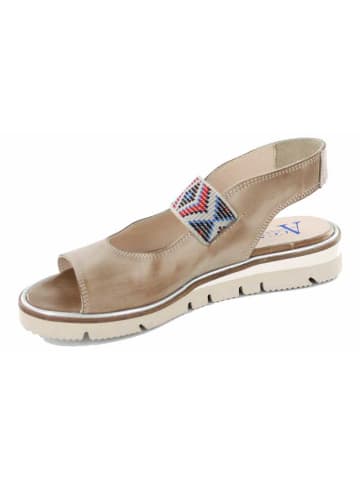 Accatino Sandalen in braun