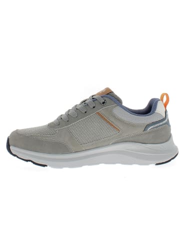 Armata di Mare Sneaker AMUS25N721-GREY Grau
