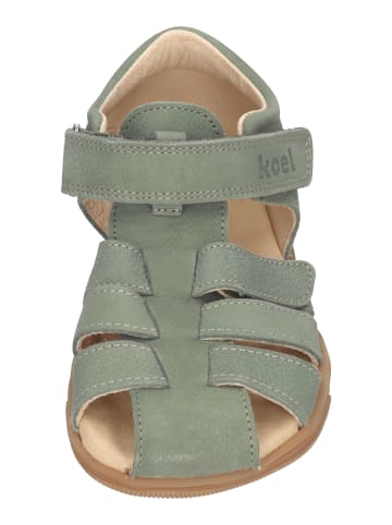 KOEL Sandalen OLA  in grün