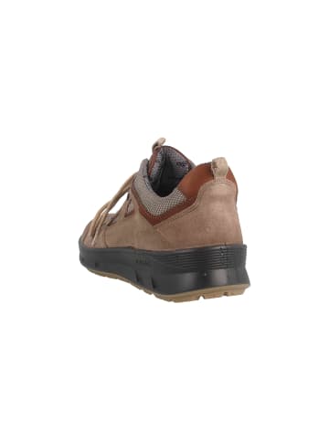 Jomos Halbschuhe in Braun