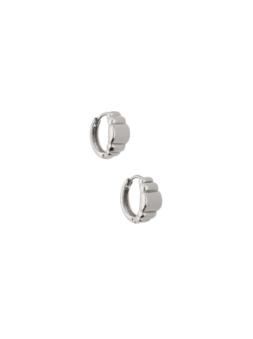 grassland Women Stud Earrings in Silver