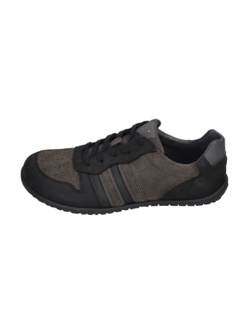 KOEL Sneaker Low IVO NAPPA in grau