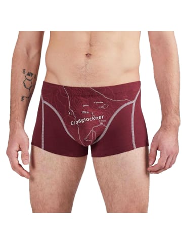 EIN SCHÖNER FLECK ERDE Boxershort 1er Pack in Großglockner (Rost)