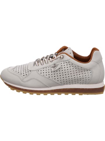 Cetti Sneaker in weiß