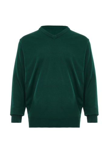 fernell Pullover in Grün