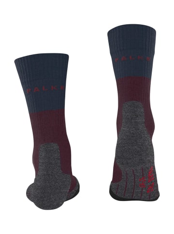 Falke TK2 Explore Trekking Socken in Barolo