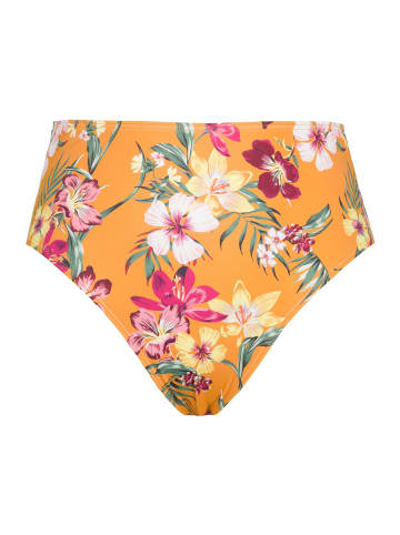 Studio Untold Bikini Slip in butterscotch