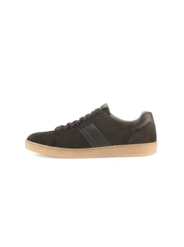 Pius Gabor Sneaker low in braun