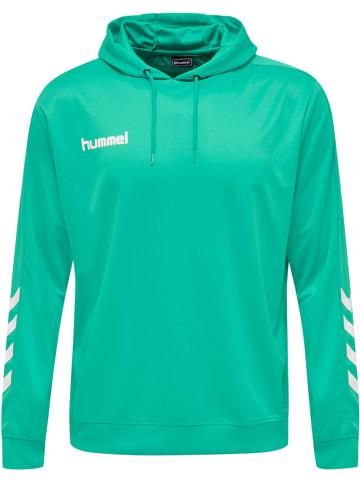 Hummel Kapuzenpullover Hmlpromo Herren in ATLANTIS