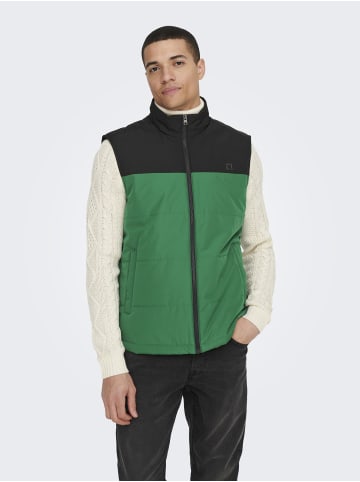 ONLY & SONS Steppweste in Black