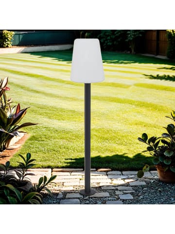 Licht-Erlebnisse Wegeleuchte Ø 27.5 x (H)128 cm in Graphit Weiß