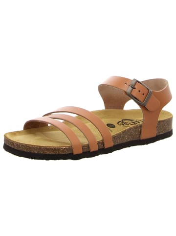 Plakton Sandalen in braun