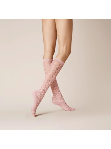 Kunert Kniestrümpfe Ajour Häkelstruktur in powder rose