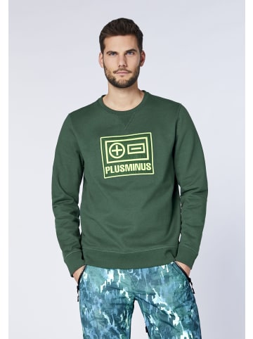 Chiemsee Sweatshirt in Grün