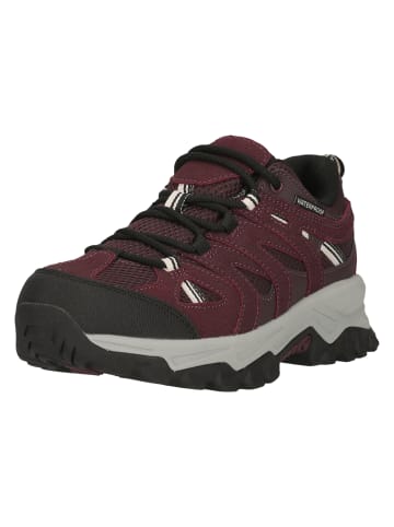 Whistler Wanderschuhe Terx in 4261 Huckleberry