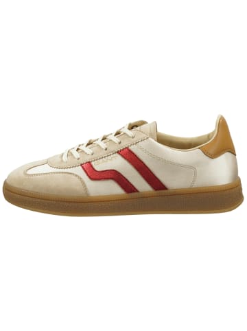 Gant Sneaker in beige