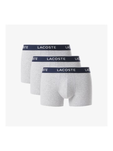 Lacoste Wäsche Grau
