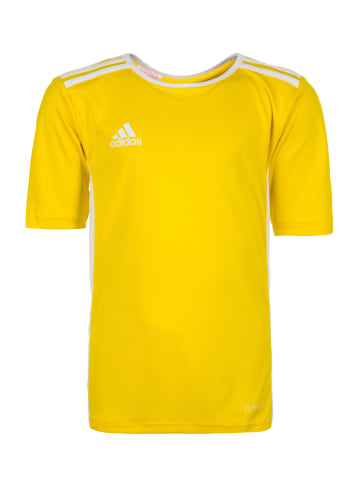 adidas Performance Fußballtrikot Entrada 18 in gelb / weiß