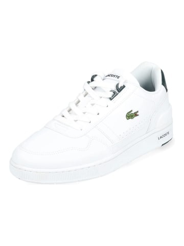 Lacoste Sneaker in Weiß/Grün