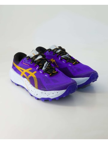 asics Laufschuhe in Lila