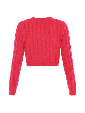 aleva Sweater in PINK