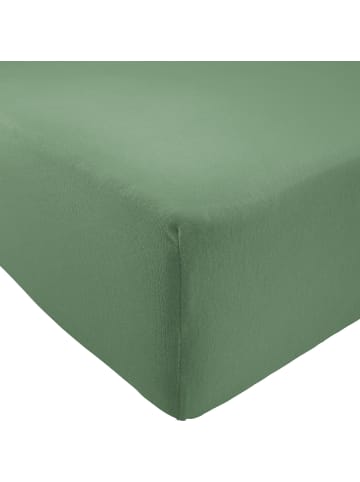 REDBEST Single-Jersey Spannbettlaken Pittsburgh in oliv