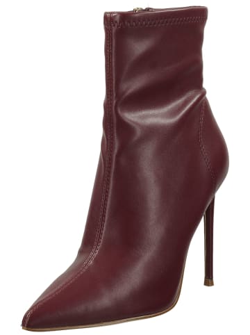 Steve Madden Stiefelette in Bordeaux