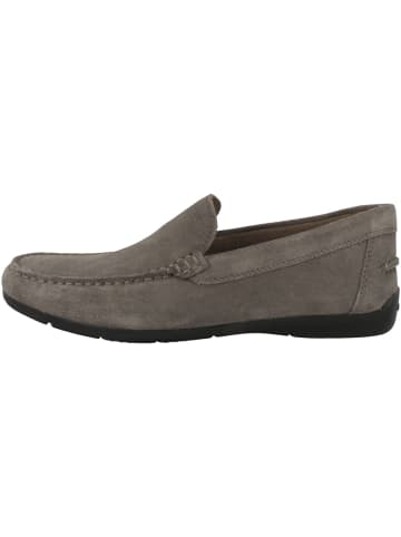 Geox Slipper U Siron A in grau