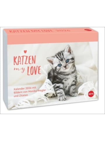 Heye Kalender Kalender - Katzen my love Tagesabreißkalender 2026