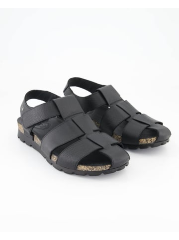 PANAMA JACK Sandalen in Schwarz