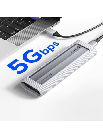 Orico AXM2S-G2-V1 M.2 NVME/NGFF USB-C/USB-A auf USB-C 6Gb/s / 10Gb/