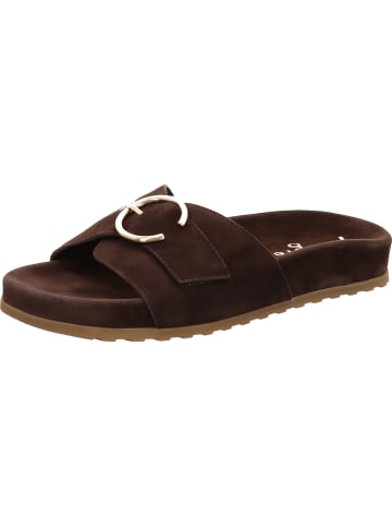 Paul Green Pantolette in braun