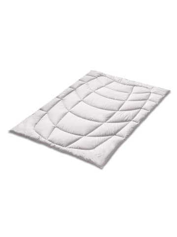 Sanders-Kauffmann Kamelhaarbettdecke Steppbett - Mono (Medium), 240x220 cm