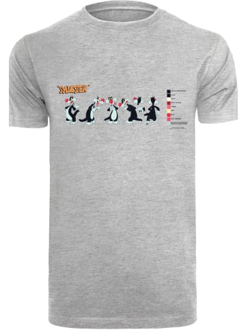 F4NT4STIC F4NT4STIC T-Shirt in heather grey