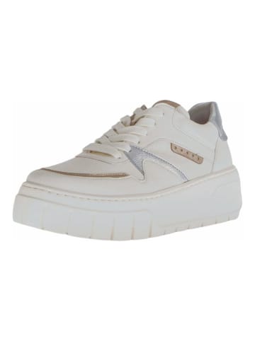 Gabor Sneaker in Puder