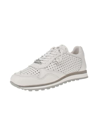 Cetti Sneaker low C-848 SRA EXP V25 in Weiß