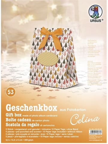 Buntpapierfabrik Ludwig Bähr Geschenkbox Celina 9,5x12,5x5cm Packung mit 5 Stück Motiv: 53