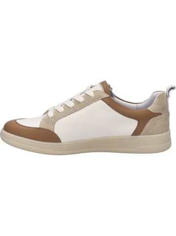 Josef Seibel Sneaker Jade 05 in beige
