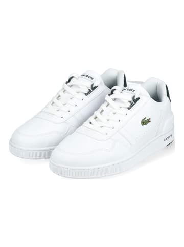 Lacoste Sneaker in Weiß/Grün