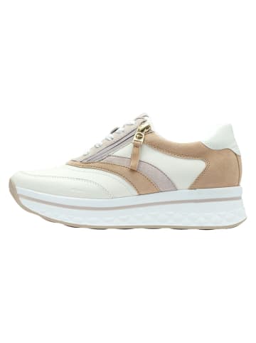 Tamaris WIDE FIT Sneaker in BEIGE COMB