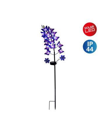 näve Solarleuchte "VIOLA" in violett - (L)18 cm x (B)11 cm x (H)76 cm