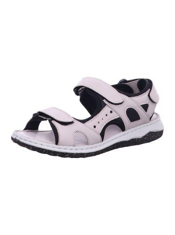 Andrea Conti Sandalette in grau