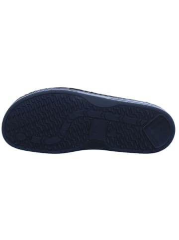 Finn Comfort Sneaker NORWICH in coffee