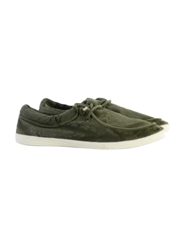 natural world Wallabi Enzimatico Schnürsneaker Grün