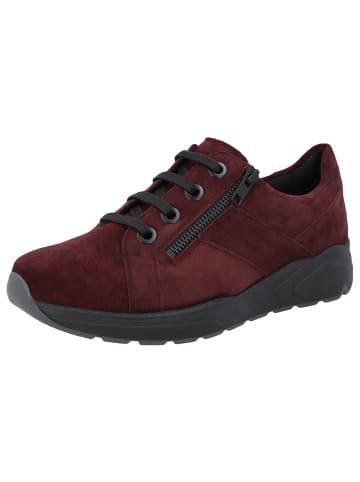 Solidus Sneaker in rot