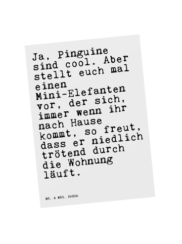 Mr. & Mrs. Panda Postkarte Ja, Pinguine sind cool.... mit Spruch in Weiß