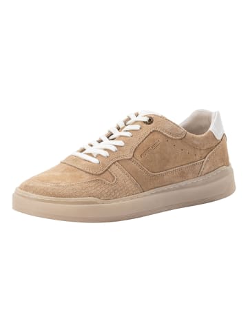 Camel Active Sneaker aus echtem Splitleder in Sand