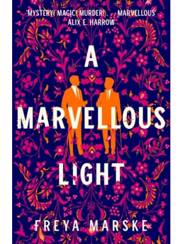 Macmillan US Buch - A Marvellous Light