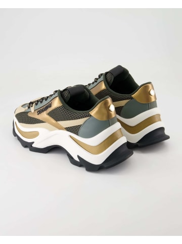 Steve Madden Sneaker low in Mehrfarbig